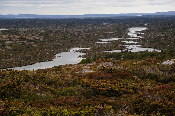 The Long Tarns, Walls of Jerusalem National Park