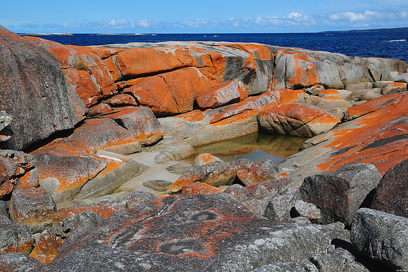 The Gardens, Bay of Fires Conservation Area