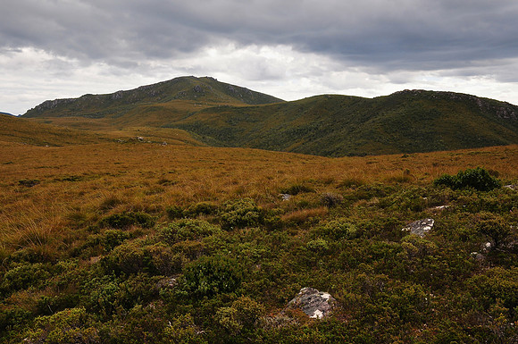 Mount Beecroft from the Penguin-Cradle Trail