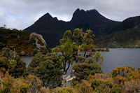 Cradle Mountain and Dove Lake, Cradle Mountain-Lake St. Clair National Park