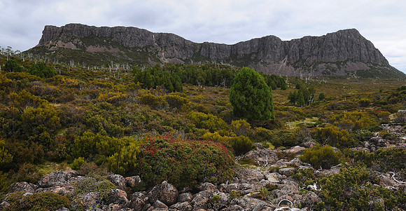The West Wall, Walls of Jerusalem National Park