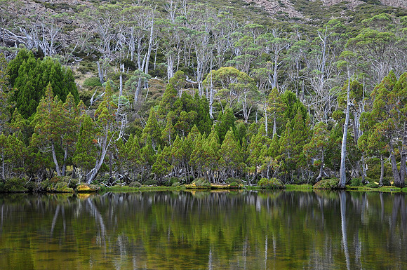 The Pool of Bethesda, Walls of Jerusalem National Park