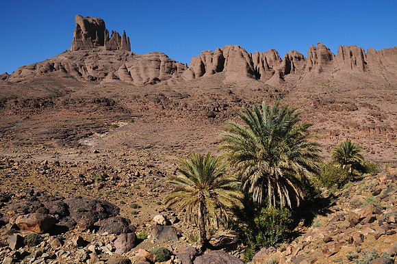 The northern tower of Bab n'Ali, Jebel Sahro