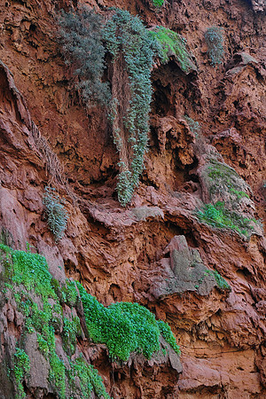 The cliffs beside Ouzoud Falls in the Western High Atlas Mountains
