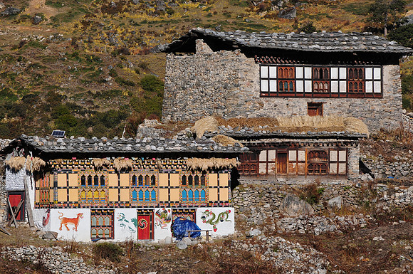 Houses in Thanza