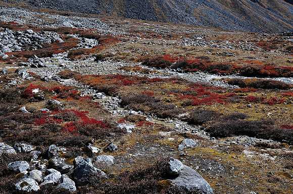 The valley of the Sasha Chhu