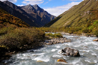 A yak crosses the Paro Chhu near Jangothang