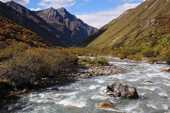 A yak crosses the Paro Chhu near Jangothang