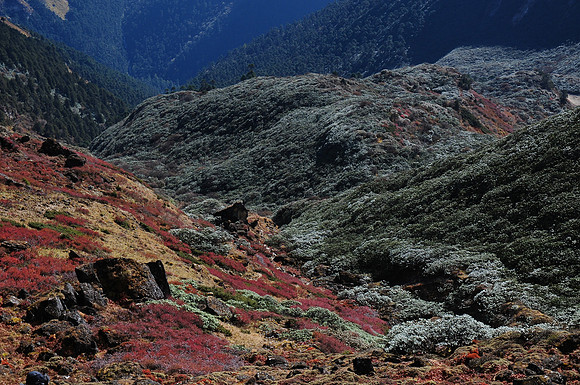 The descent from Nephu La