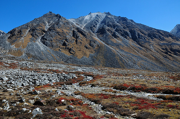 The valley of the Sasha Chhu