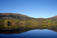 Coldfish Lake