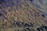 Autumn colours from the air