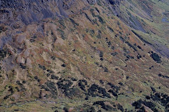 Autumn colours from the air