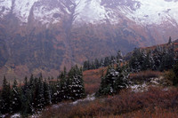 Above Gladys Lake