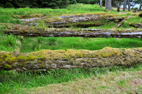 Haida longhouse ruins, SGang Gwaay Llnagaay (Ninstints), Gwaii Haanas National Park