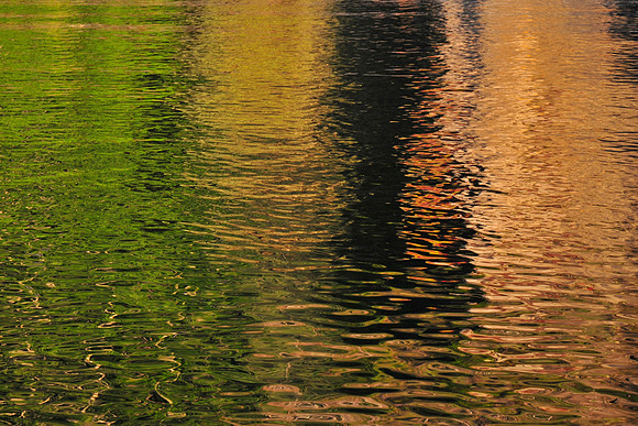 Reflections in a sheltered bay, Huxley Island, Gwaii Haanas National Park