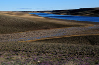 The Thomsen River