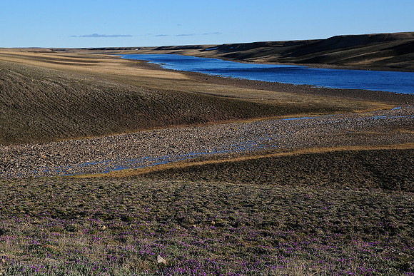 The Thomsen River