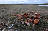 Food cache