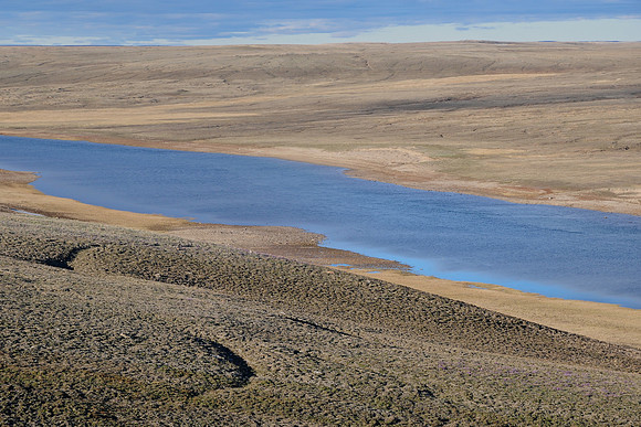 The Thomsen River near the southern boundary of Aulavik National Park