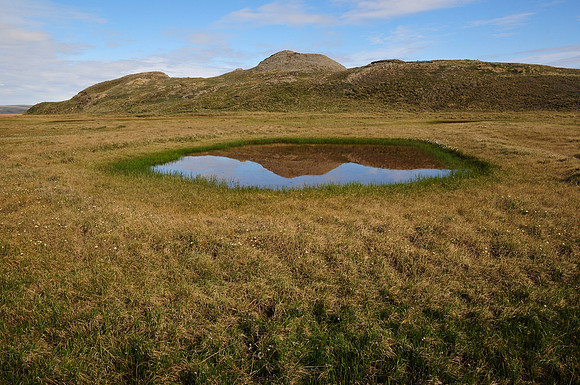 A pingo reflected in a small tundra pond