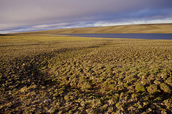 Frost-weathered landscape