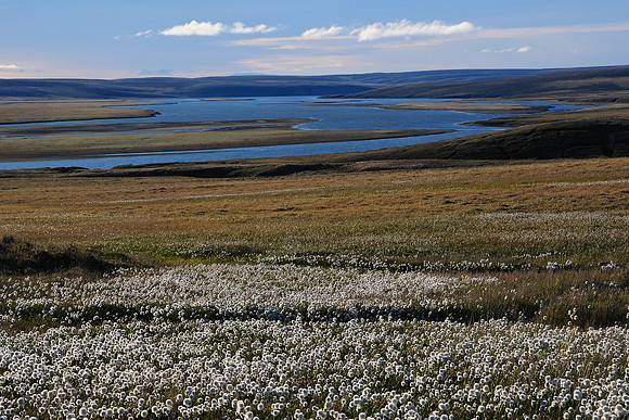 The Thomsen River near the entrance to Castel Bay