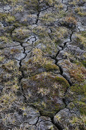 Frost-weathered soil