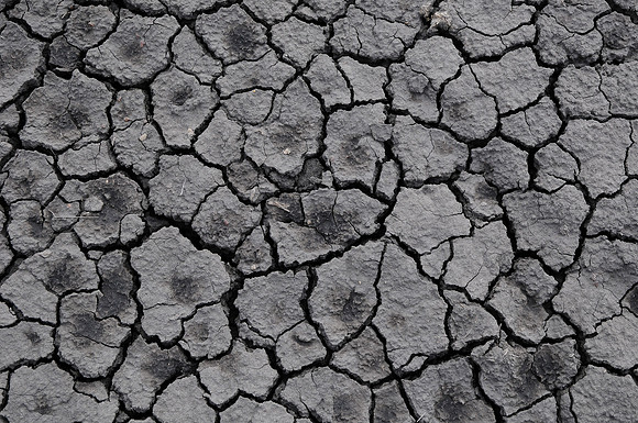Frost-weathered soil