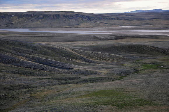 The Thomsen River just above its junction with the Muskox River