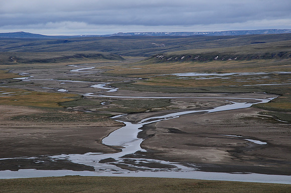 A tributary flows into the Thomsen River