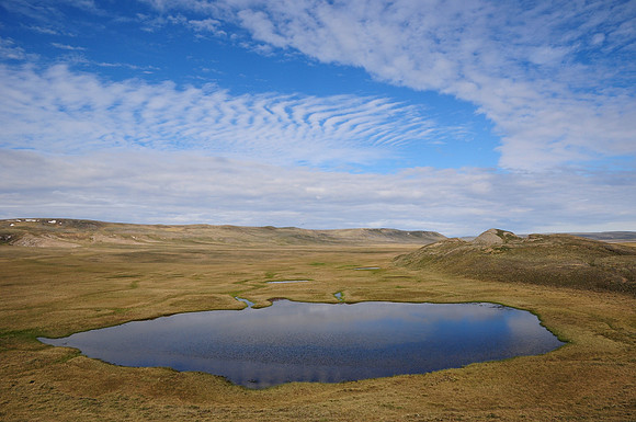 Tundra pond and pingo