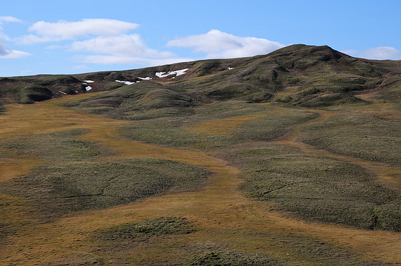 The Baker Creek valley