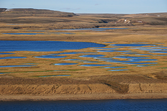 Tundra ponds beside the Thomsen River