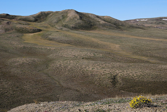 The Baker Creek valley