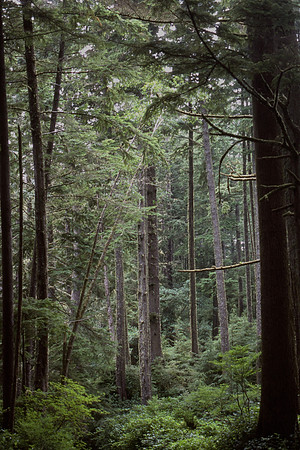 West Coast Trail