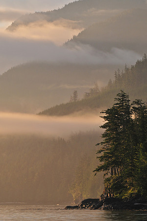 Johnstone Strait