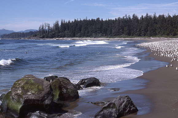 West Coast Trail