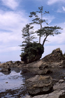 West Coast Trail