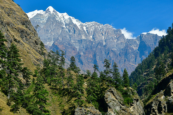 Shringi Himal, viewed en route from Lopka to Chumling