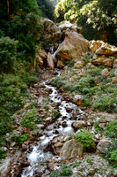 A side stream east of Lopka