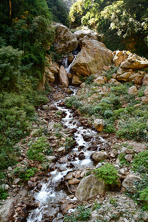 A side stream east of Lopka