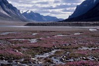 Weasel River Valley, Auyuittuq National Park