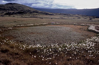 Auyuittuq National Park