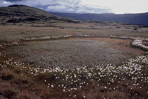 Auyuittuq National Park