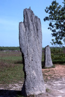 Termite mound, Kakadu National Park, Northern Territory
