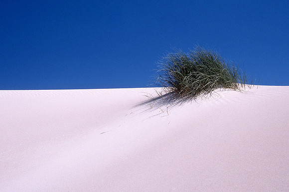Sand dunes, Little Sahara, Kangaroo Island, South Australia