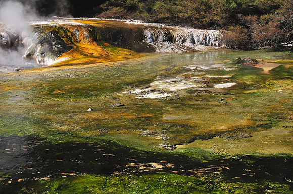 Warbrick Terrace, Waimangu thermal area