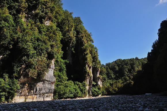 Dilemma Creek, Inland Pack Track, Paparoa National Park