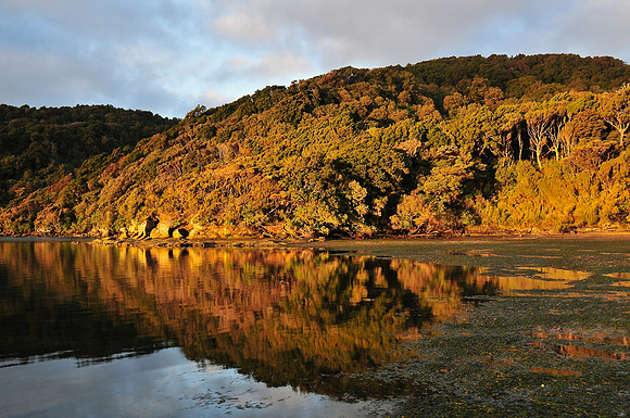 Paterson Inlet near the North Arm Hut, Rakiura Track, Stewart Island